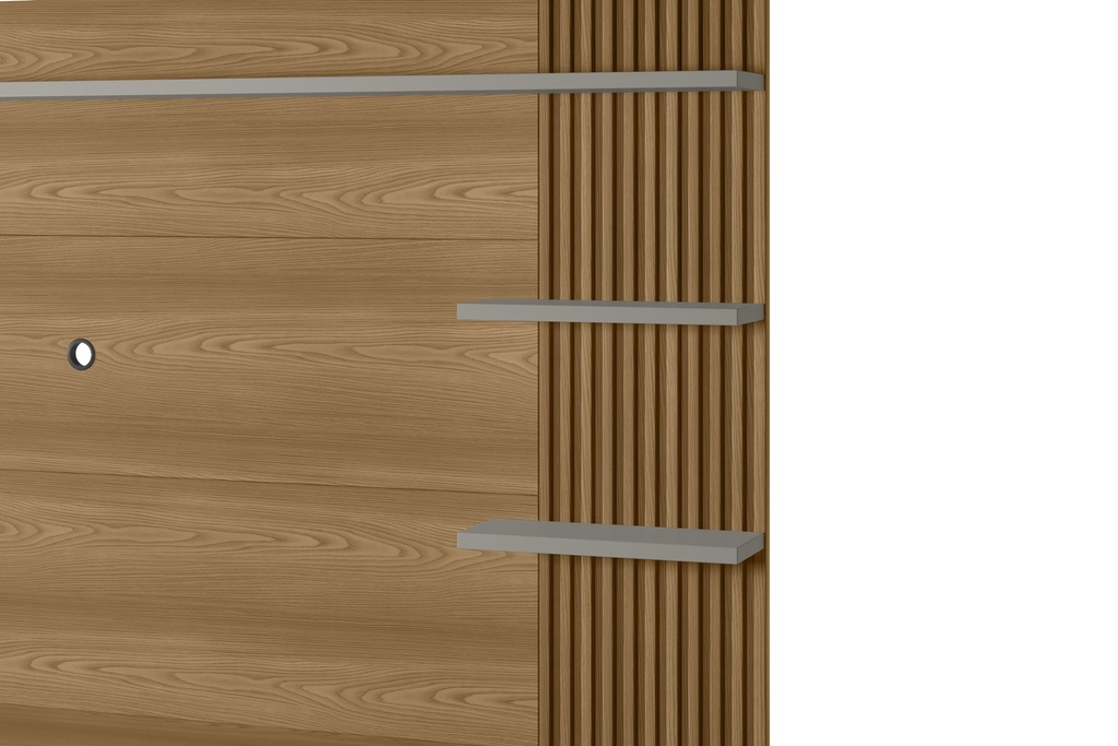 ARARUNA TV PANEL