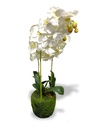Lana Artificial Orchid