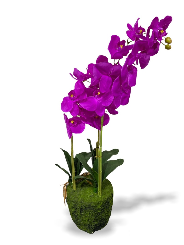 LANA ARTIFICIAL ORCHID