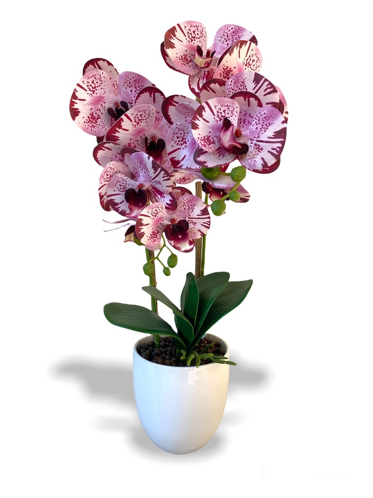 KRISKA ARTIFICIAL ORCHID