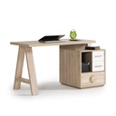 ALFA STUDY TABLE WITH TOP UNIT