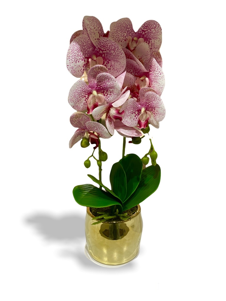 Chloe Artificial Orchid