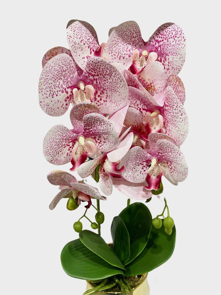 Chloe Artificial Orchid