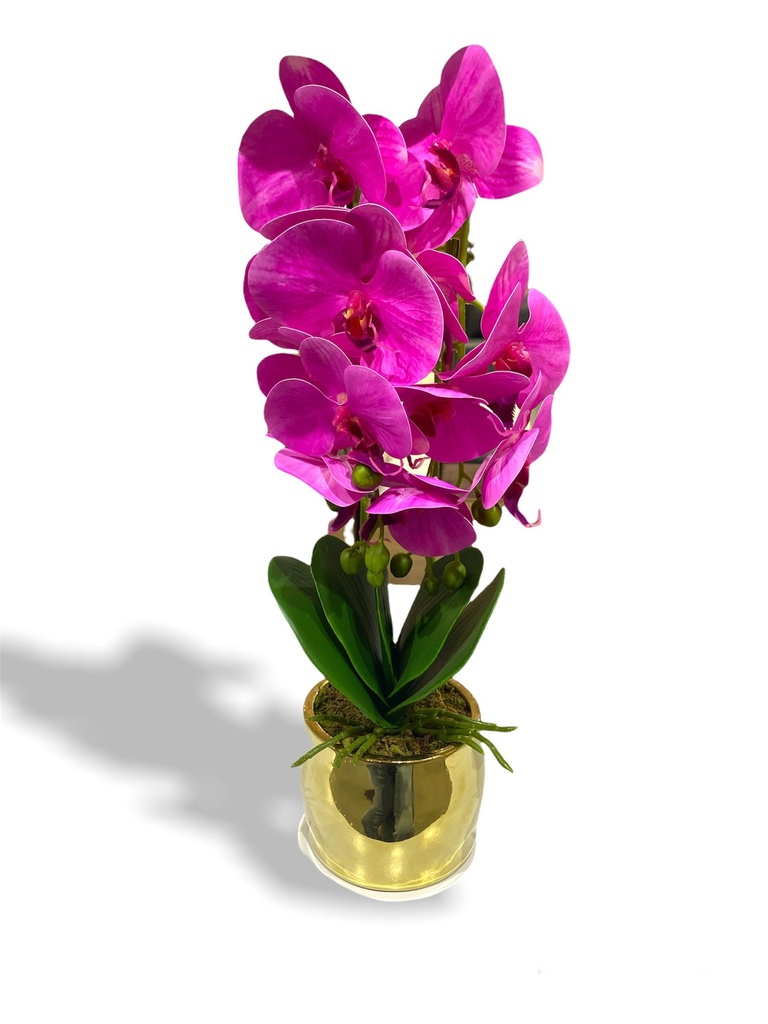 Chloe Artificial Orchid