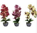 Ekos Artificial Orchid