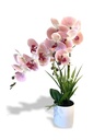 Laila Artificial Orchid 