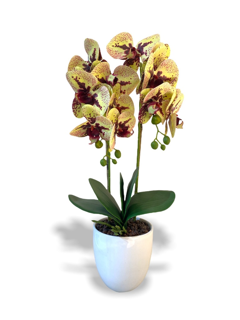 Kriska Artificial Orchid