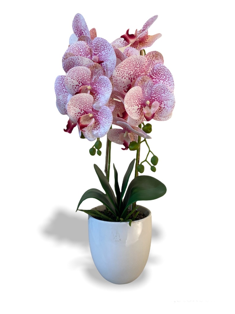 Kriska Artificial Orchid