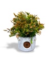 Niely Artificial Lavender