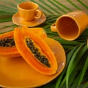 20 PCS RYO PAPAYA DINNER/TEA SET