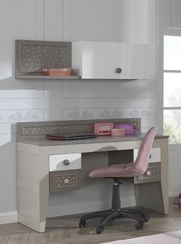 HOUSES STUDY TABLE WITH TOP UNIT