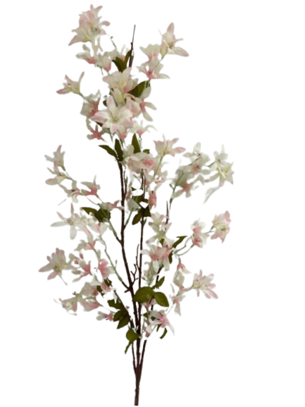 AKIRA FLOWER