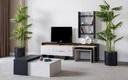 FELIX TV UNIT
