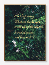AMAZON A WALL ART 