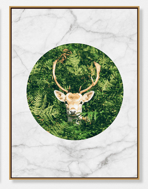 AMAZON B WALL ART
