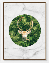 AMAZON B WALL ART