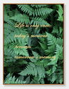 AMAZON C WALL ART 