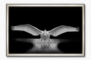 WHOOPER WALL ART