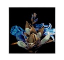 ZAIA WALL ART  
