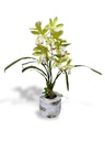 PARISI ARTIFICIAL ORCHID