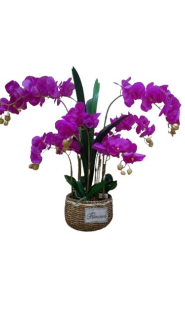 BONNIE ARTIFICIAL ORCHID