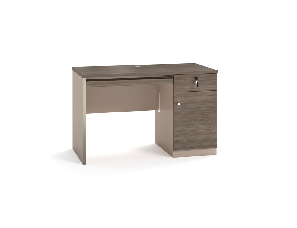 [F0050100152] FUTURE OFFICE TABLE 120 CM