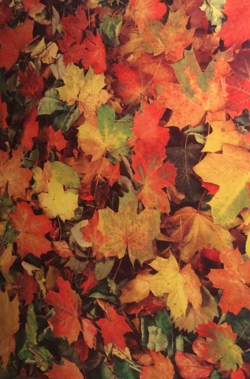 [S0200100002] TRACE FLOOR RUG