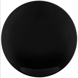 [Z0560400015] COUP BLACK DINNER PLATE