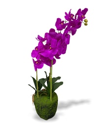 [Z0010100664] LANA ARTIFICIAL ORCHID