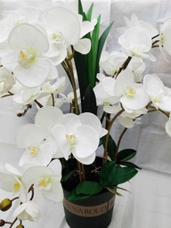 [Z0010100631] DIANA ARTIFICIAL ORCHID